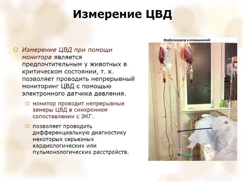 Измерение ЦВД Измерение ЦВД при помощи монитора является предпочтительным у животных в критическом состоянии,